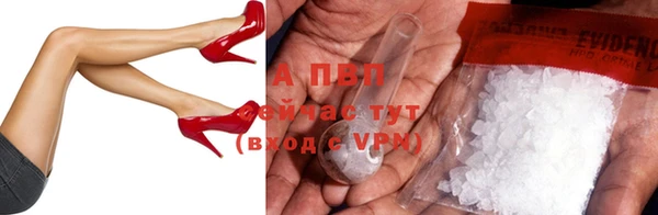 индика Ахтубинск