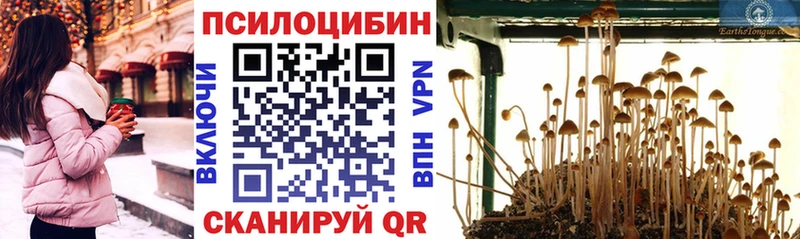 Псилоцибиновые грибы Magic Shrooms  Верхний Тагил 