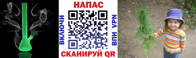 Бошки марихуана сатива  darknet формула  Верхний Тагил  наркошоп 